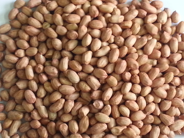 indian-peanuts