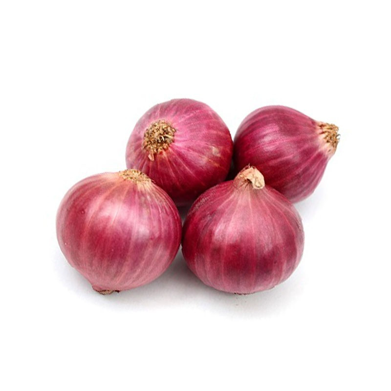 red-onion-india